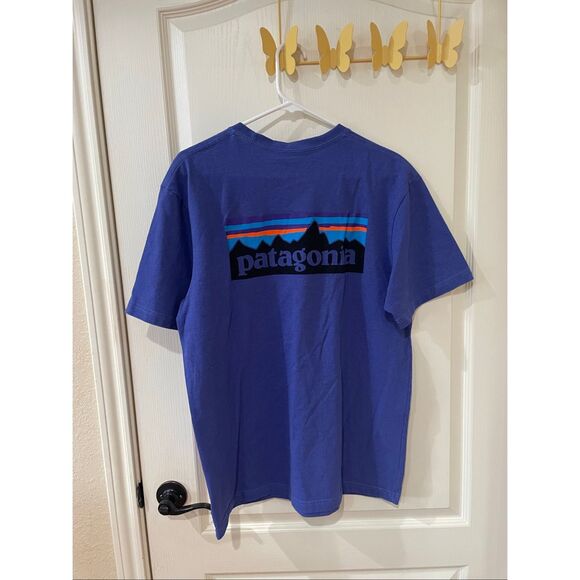 Patagonia Men’s Tee Size Medium - Picture 1 of 4